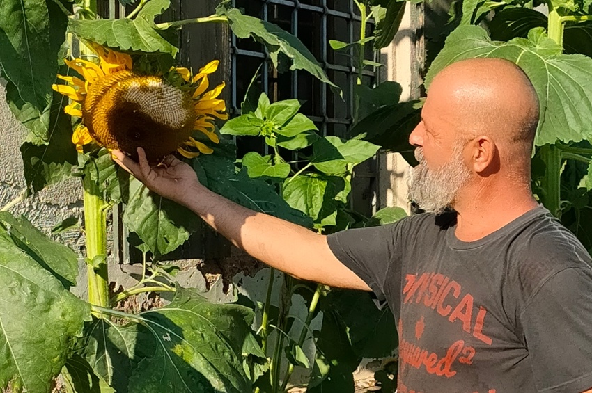 Come scegliere i fiori per composizioni design