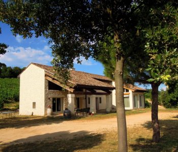 vino-olio-exrta-vergine-azienda-agricola-del-rebene vino olio exrta vergine azienda agricola del rebene 1030x751 1 Viart