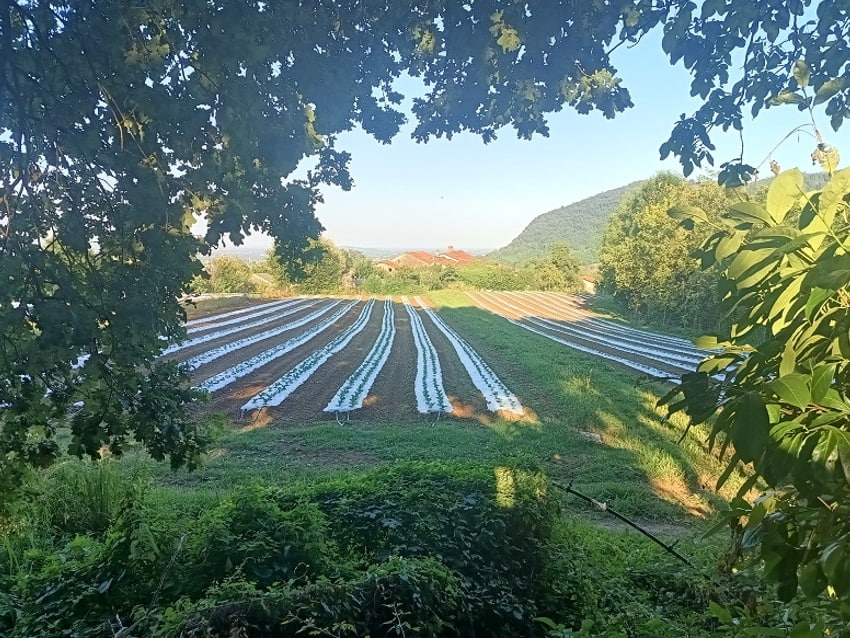 tour naturalistici  e aziende agricole alto vicentino