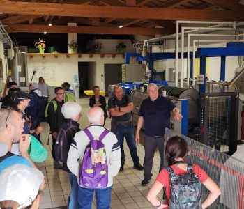 visita Frantoio Olive Barbarano 80b9e8cb 58d6 468b aa6c 2d25ca6ec4a2 Viart