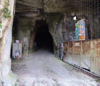 Cave Colli Berici WhatsApp Image 2026 09 19 at 11.47.26 Viart